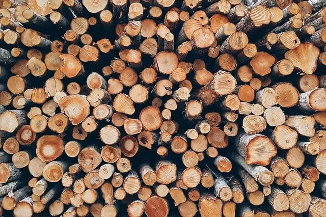 Wood Logs vs. Wood Pellets: Pros and Cons