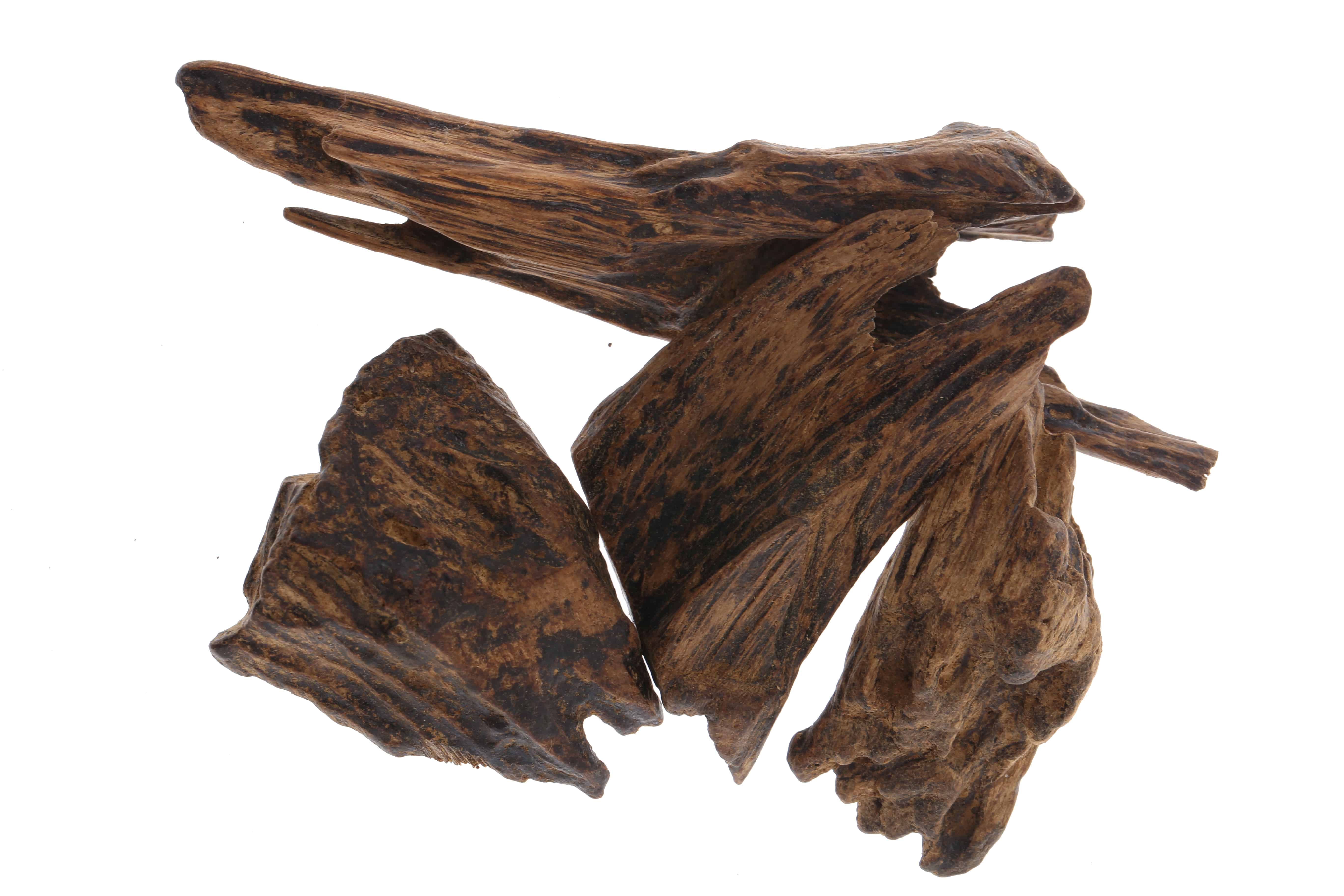 Why Is Agarwood Expensive (Lapnisan)?