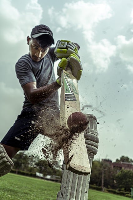 Why Are Cricket Bats Made Of Willow?
