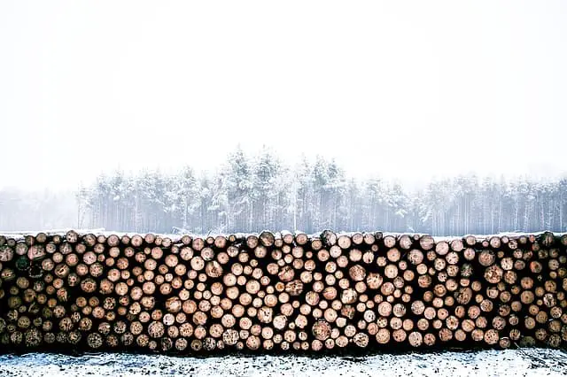 9 Reasons There Is A Lumber Shortage In America (2021)