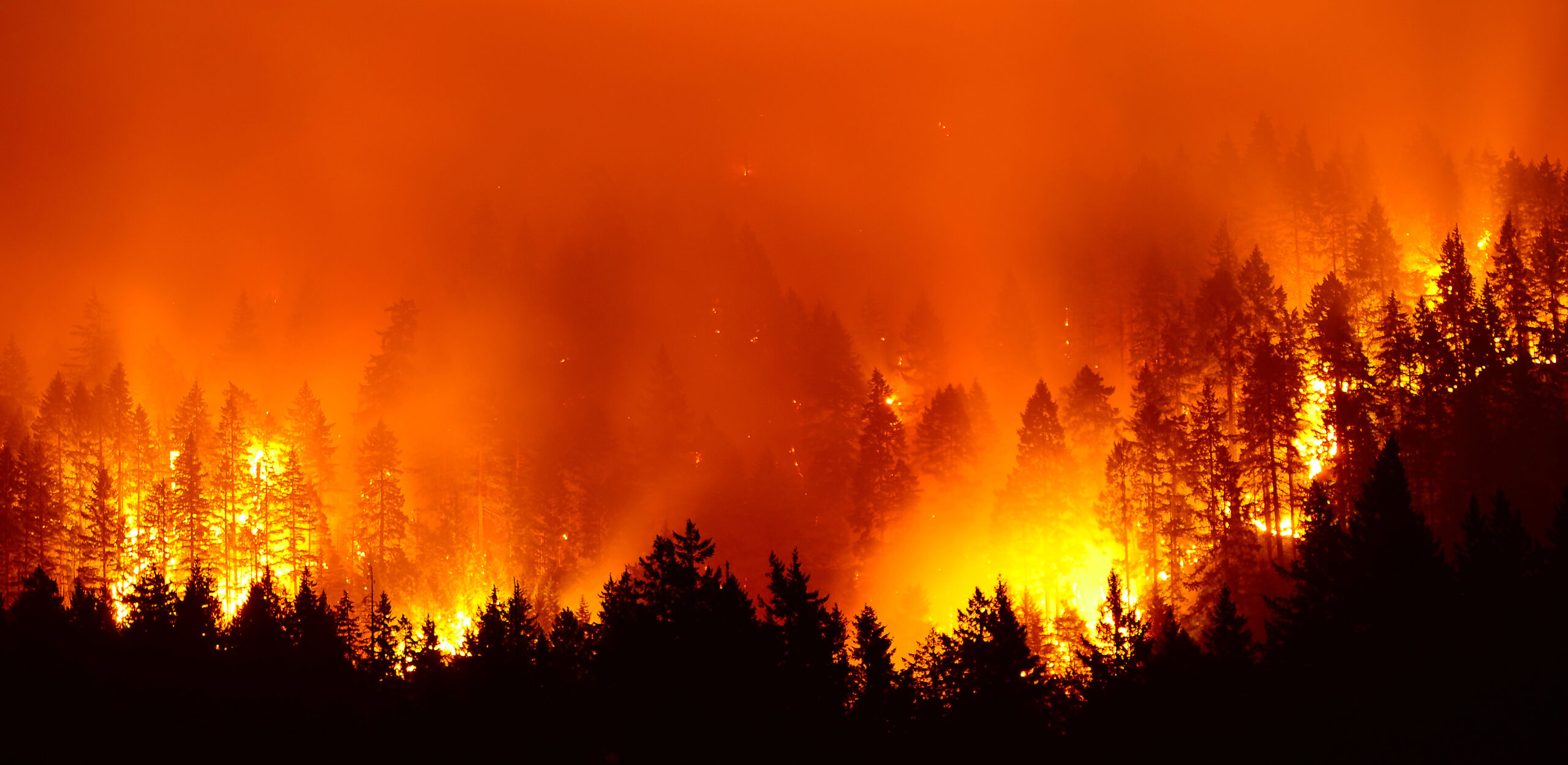 What causes forest fires in Canada?