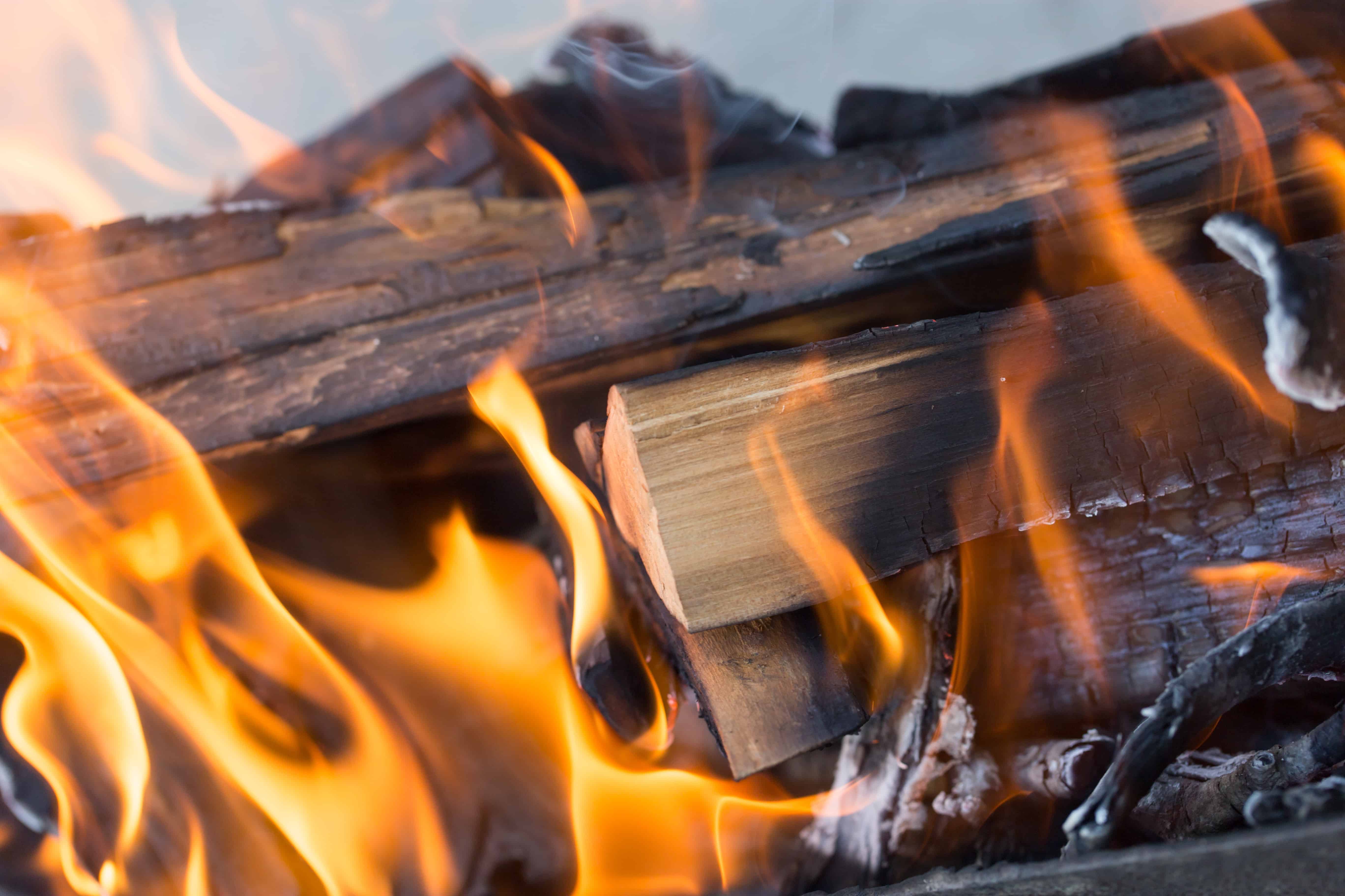 What wood is toxic to burn?