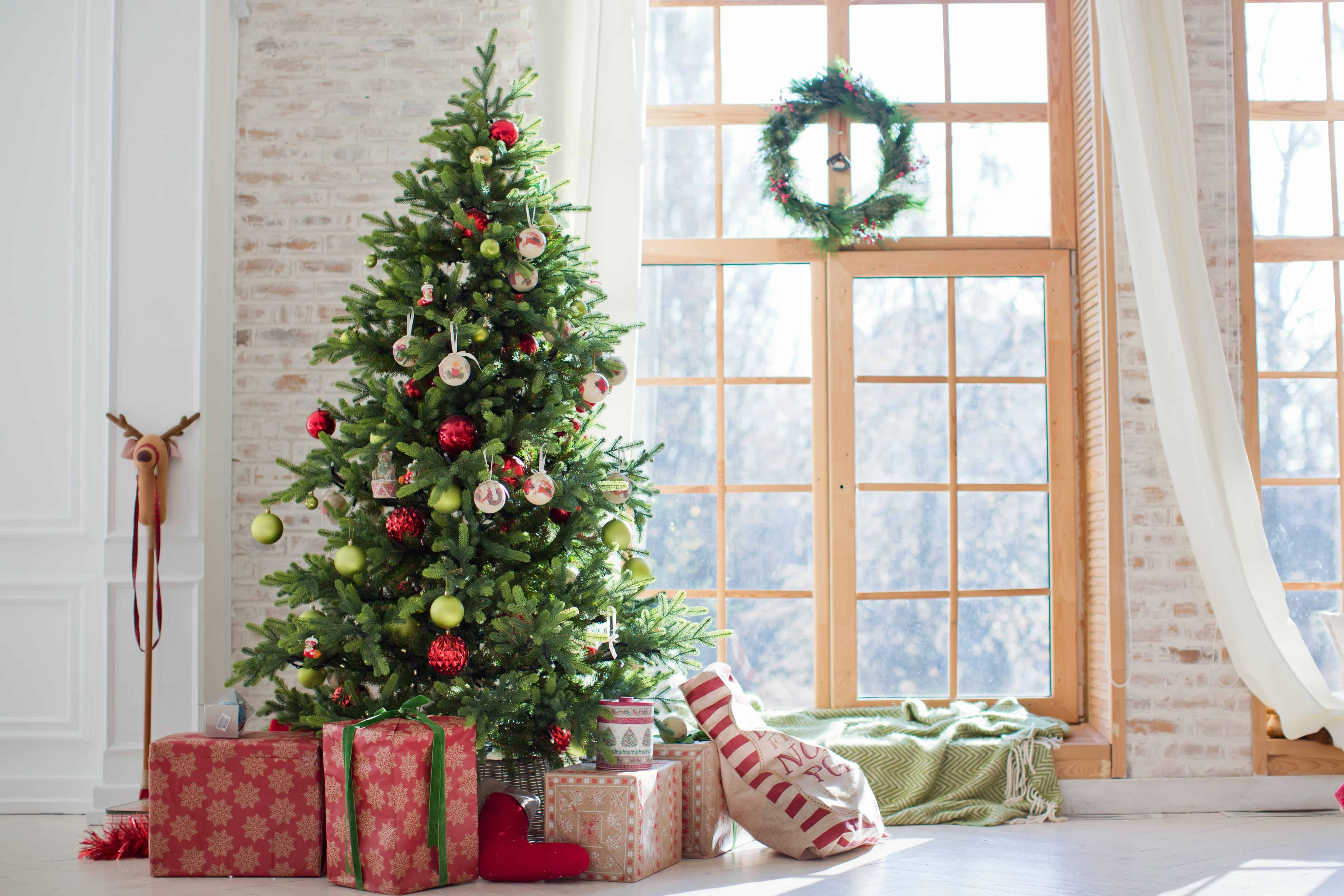 11 Question About Christmas Trees (Answered)
