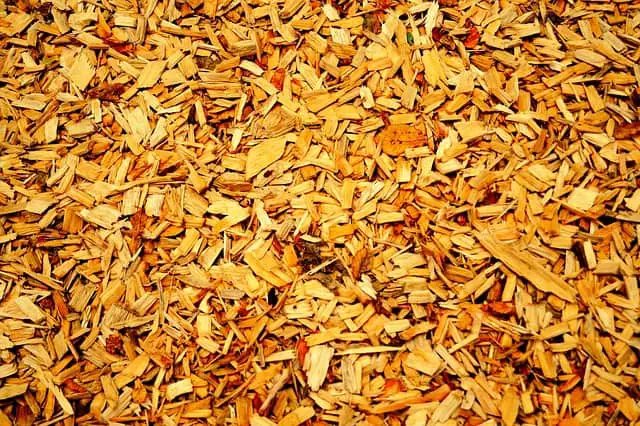 How to Use Wood Waste and Biomass for Energy Generation