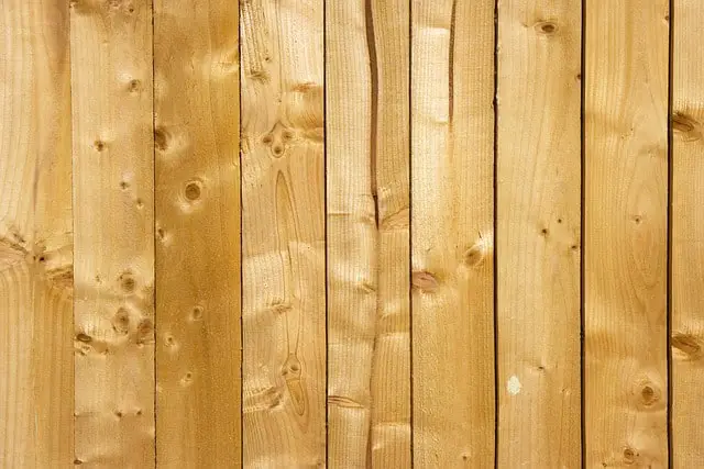Is Pine A Good Wood To Burn?
