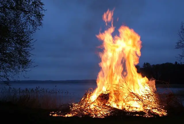 What Woods Are Most Environmentally Friendly To Burn?