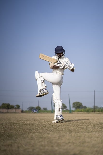 The Evolution of Cricket Bat Designs: A Comprehensive Guide