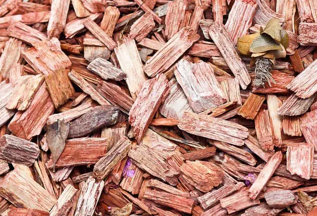 The Hidden Risks: Downsides of Using Colored Wood Chips in Your Backyard