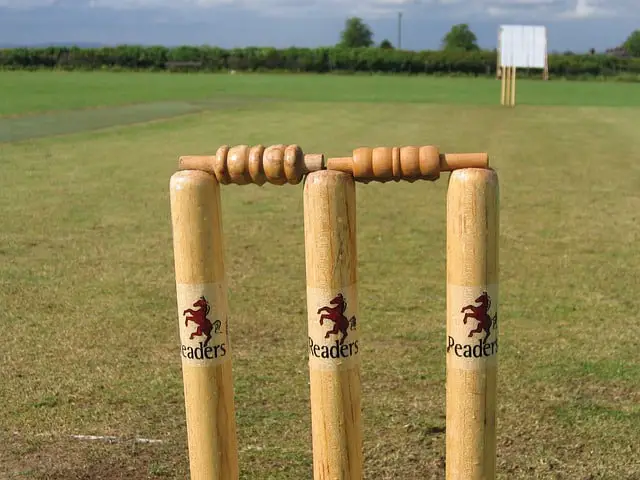 What Is A Cricket Wicket And Bails Made From?