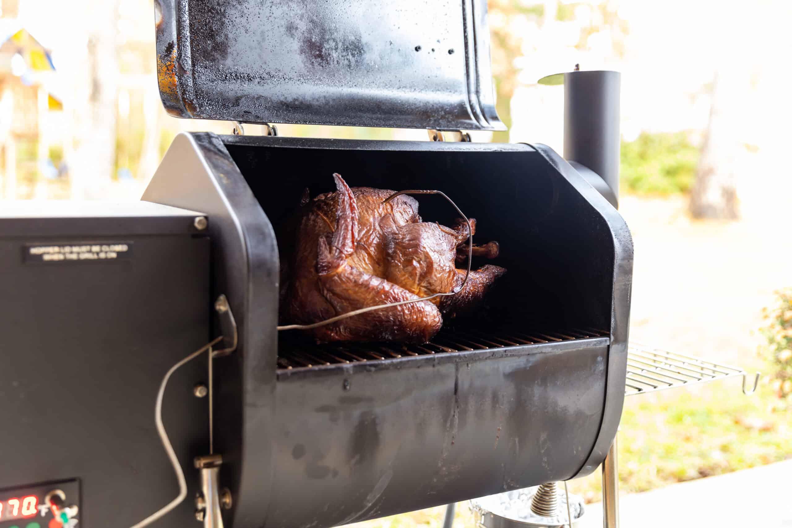 What Wood Is Best For Smoking Turkey? (Options)