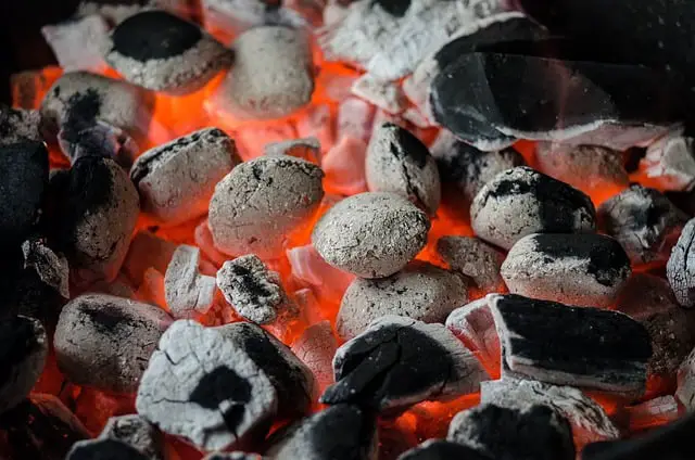What Wood Is Charcoal Typically Made From?