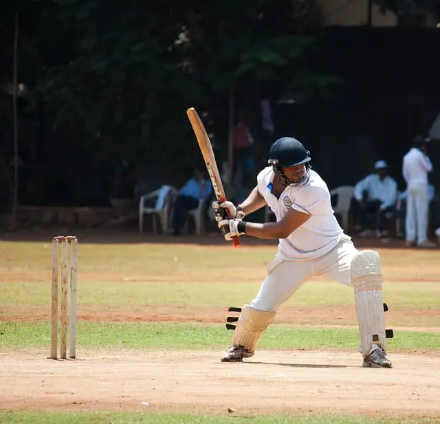 Cricket Bat Handle Materials: Pros and Cons Of Each