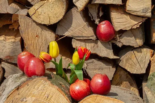 Is Apple Wood Good for Smoking Foods?