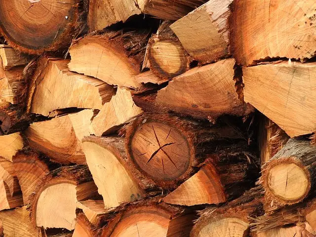 Stacked hardwood firewood, ideal for efficient wood-burning stoves and cozy winter warmth.