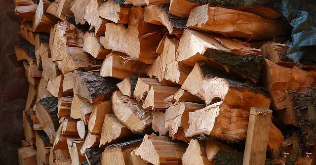 Can I Use Logs In A Wood Smoker?